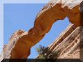 Ouest-USA_etape5 2 113_wall_arch.jpg